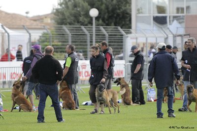 Remise des Prix 029.JPG - CHIENPLUS.COM